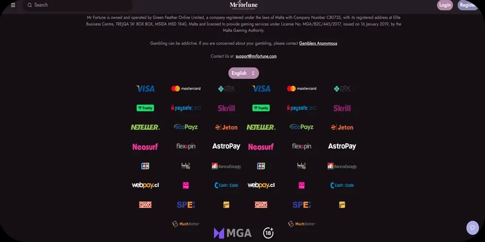 Mr Fortune Casino main payment methods